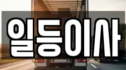 일등이사