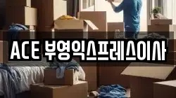 ACE 부영익스프레스이사