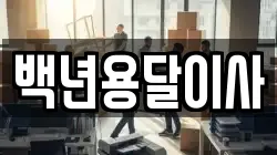 백년용달이사